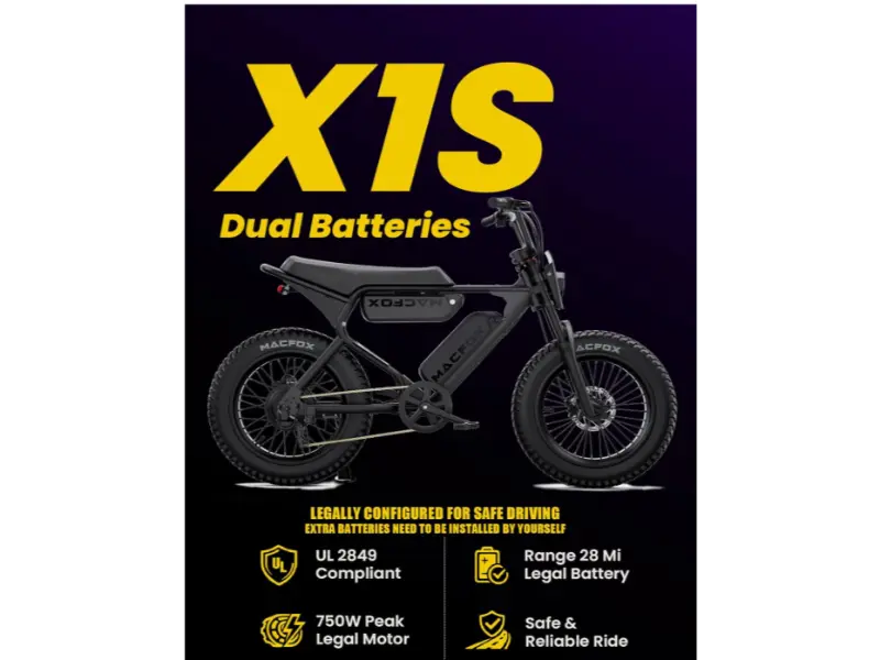 Dual-battery electric bike