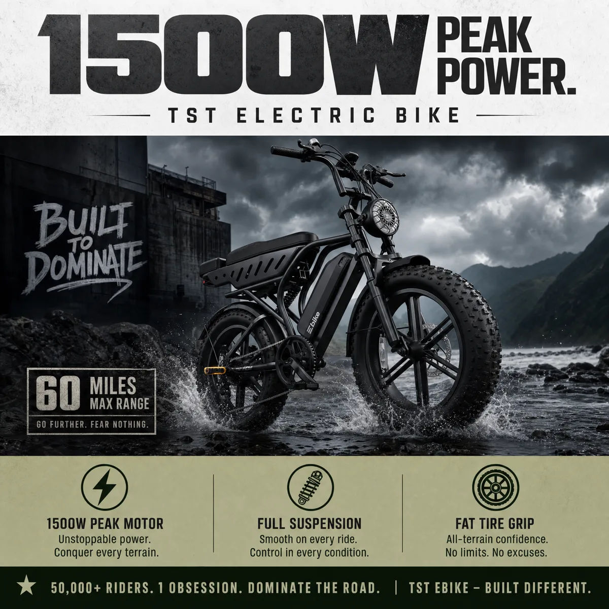 TST electric bike 1500W peak power