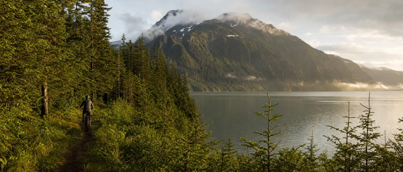 Illustration of an eBike rider on a rainforest trail beside a calm fjord with misty spruce-covered mountains in coastal Alaska, in the style of coastal Alaska, AK