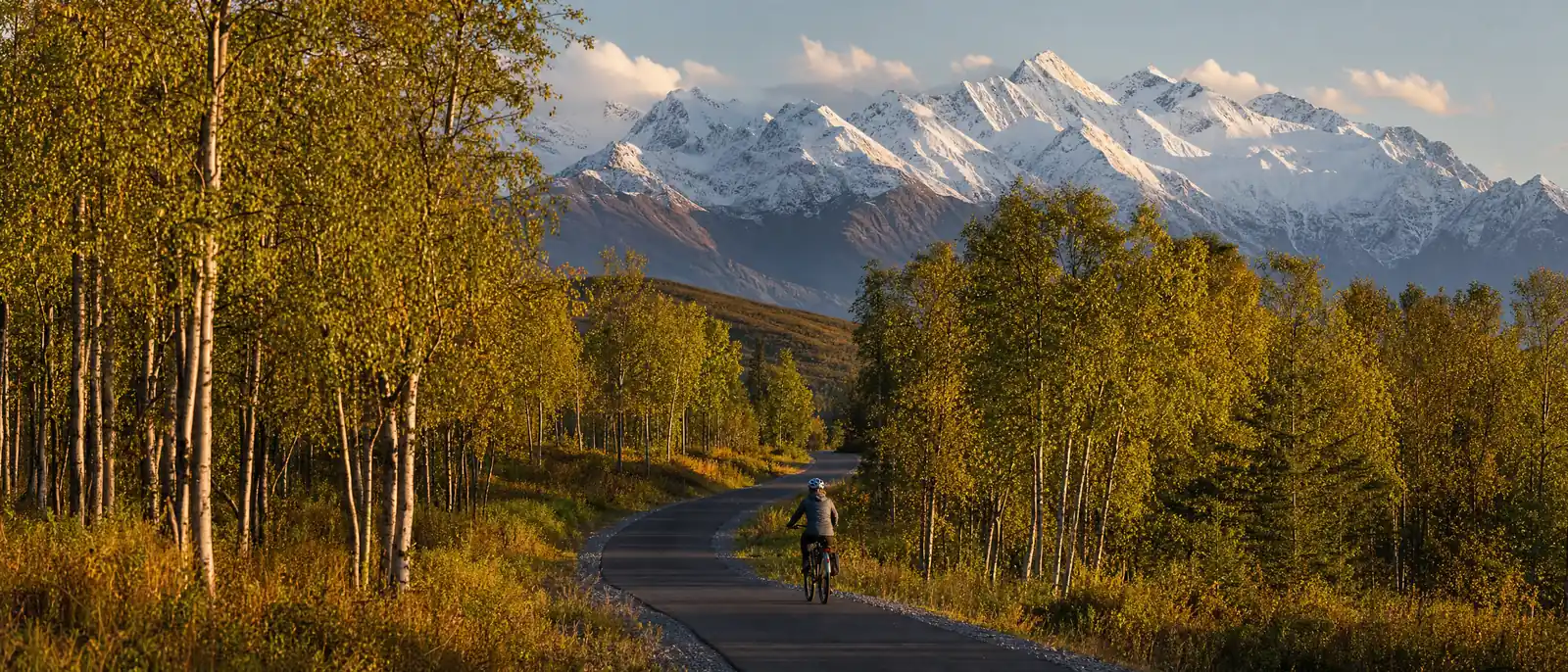 Illustration of an eBike rider on a paved trail through birch forest with snow-capped mountains in southcentral Alaska, in the style of southcentral Alaska, AK