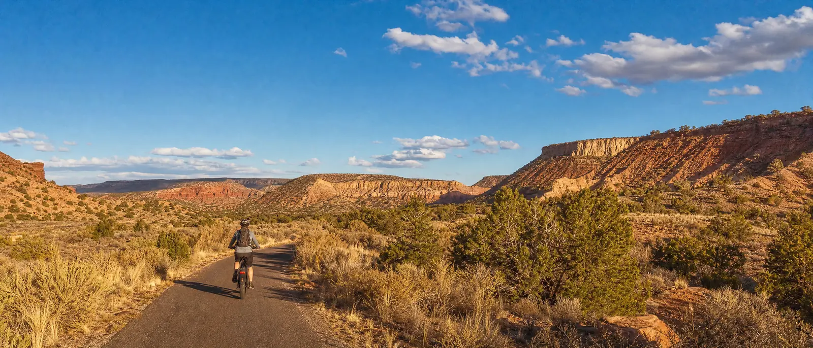 Illustration of an eBike rider on a paved path through high-desert mesas with juniper, red rock and a wide blue sky, in the style of the New Mexico high desert, NM