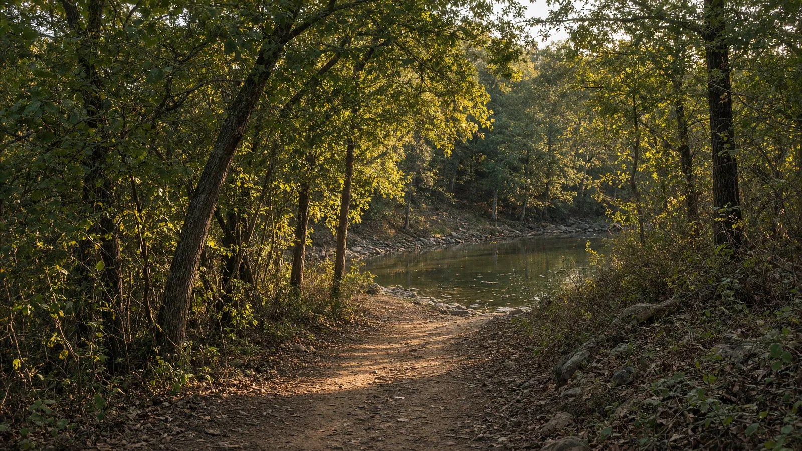 Empty Appalachian foothill oak path toward a still creek, Blount County, Alabama
