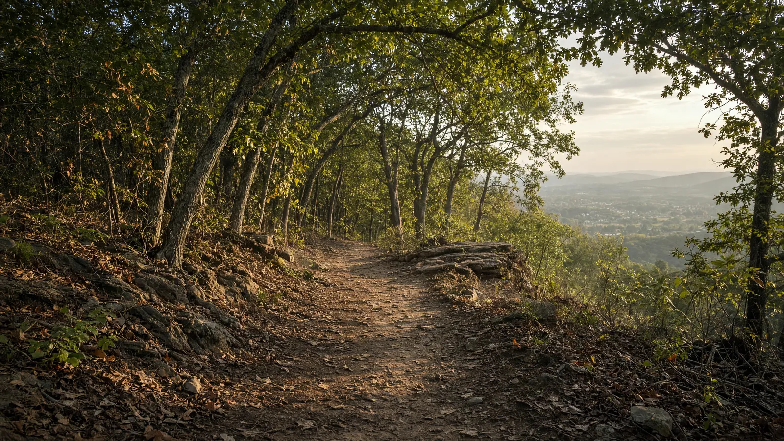 Empty Monte Sano ridge oak path above Huntsville, Madison County, Alabama