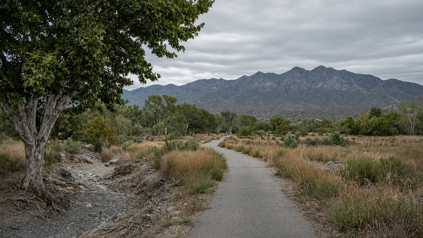 Empty paved linear park path toward the Huachuca Mountains near Sierra Vista, Cochise County, Arizona