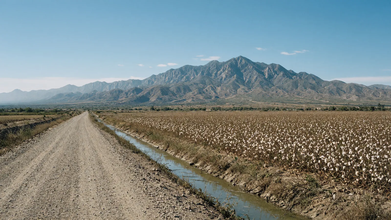 Empty Gila Valley farm road toward Mount Graham, Graham County, Arizona