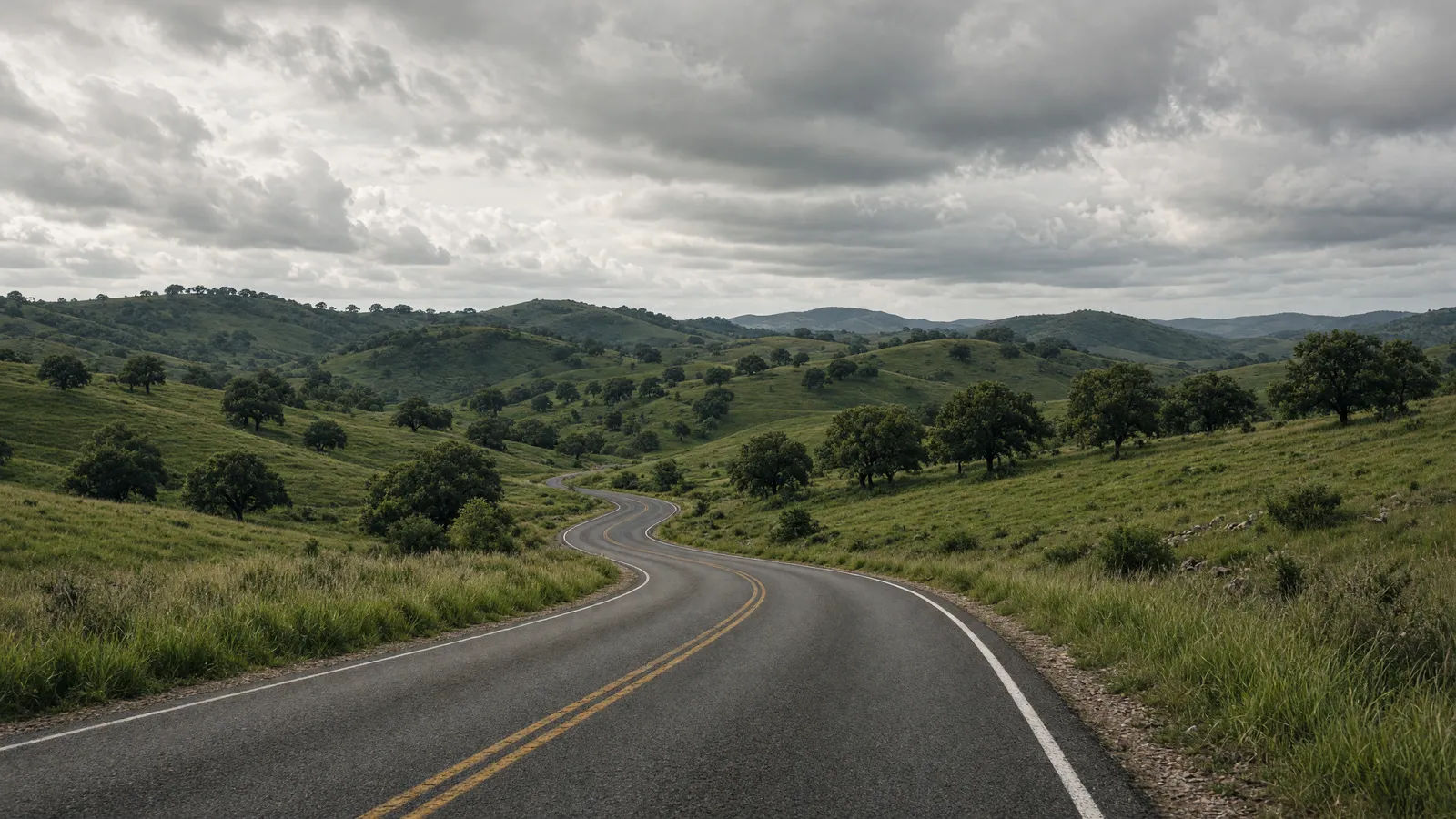 Empty grassland road through Sonoita Patagonia oak savanna, Santa Cruz County, Arizona