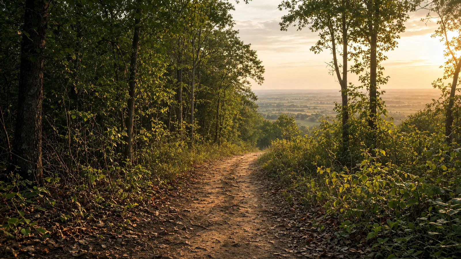 Empty Crowley's Ridge hardwood packed path toward a Delta overlook, Craighead County, Arkansas