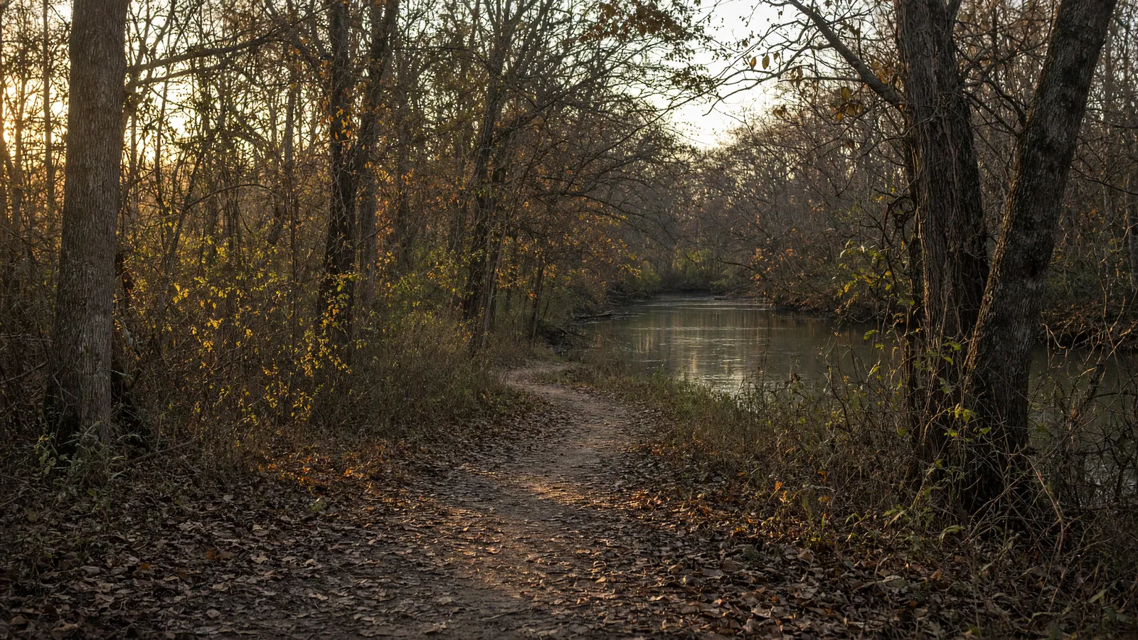 Empty Cadron Creek hardwood bottomland packed path, Faulkner County, Arkansas