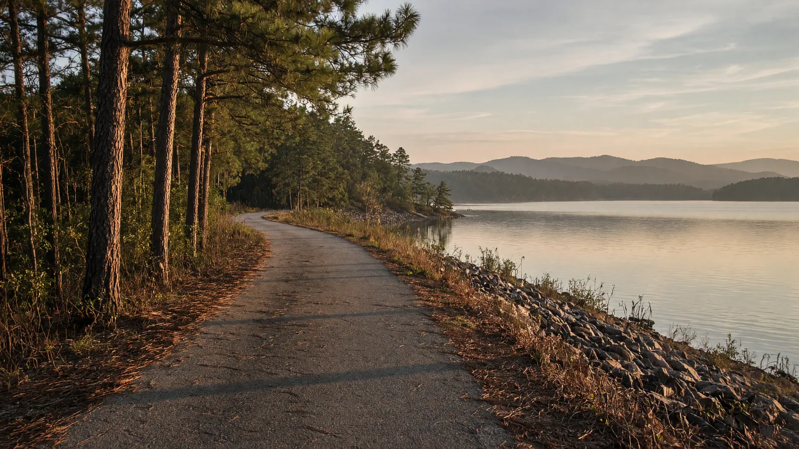 Empty Lake Dardanelle shoreline paved path through pines, Pope County, Arkansas