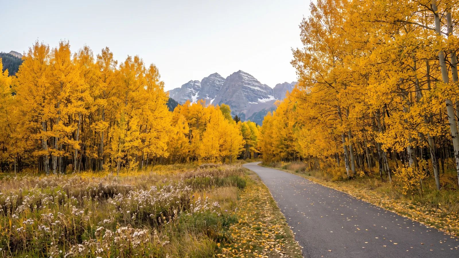 Aspen eBike riding area