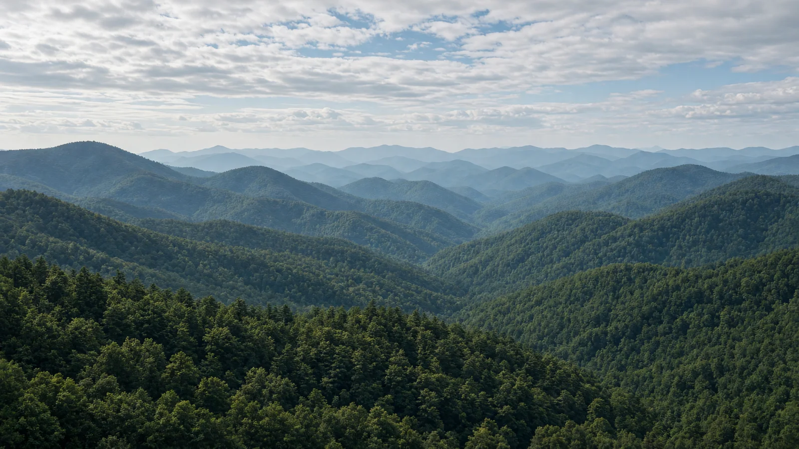 Landscape still for blog: Best eBike Shops in Asheville, NC (2026) -- Blue Ridge Parkway & River Arts District Guide