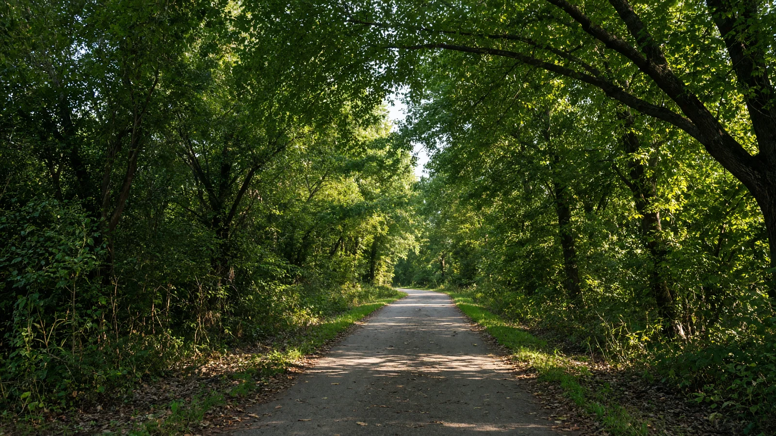 Landscape still for blog: Best eBike Shops in Indianapolis, IN (2026) -- Monon Trail & Cultural Trail Guide