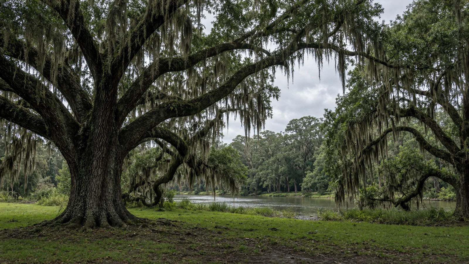 Landscape still for blog: Best eBike Shops in New Orleans, LA (2026) -- French Quarter & Bayou St. John Guide