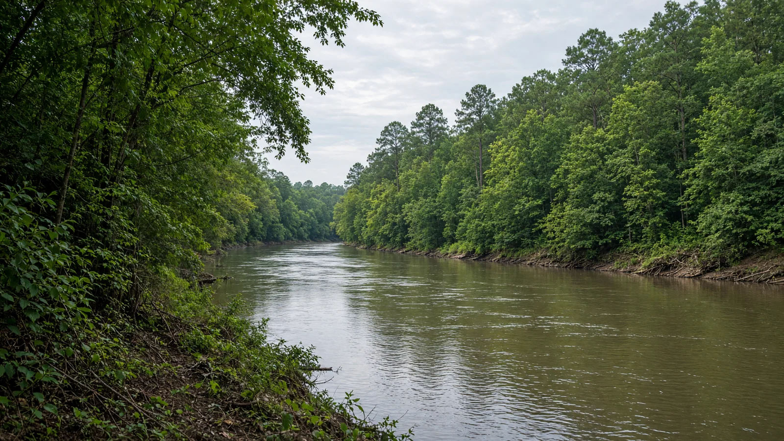 Landscape still for blog: Best eBike Shops in Raleigh, NC (2026) -- Neuse River Greenway & Research Triangle Guide