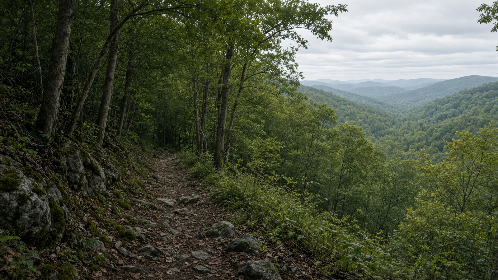 Landscape still for blog: eBike Laws in Connecticut (2026 Guide)