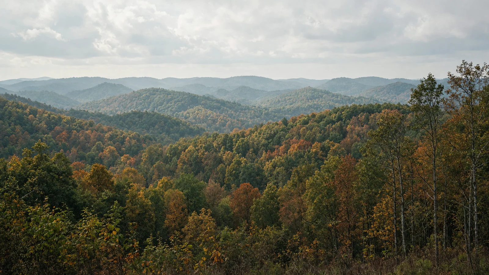 Landscape still for blog: eBike Laws in Indiana (2026 Guide)