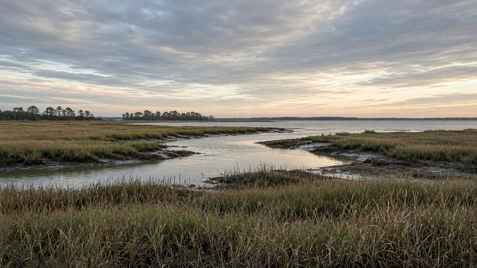 Landscape still for blog: eBike Laws in Maryland (2026 Guide)