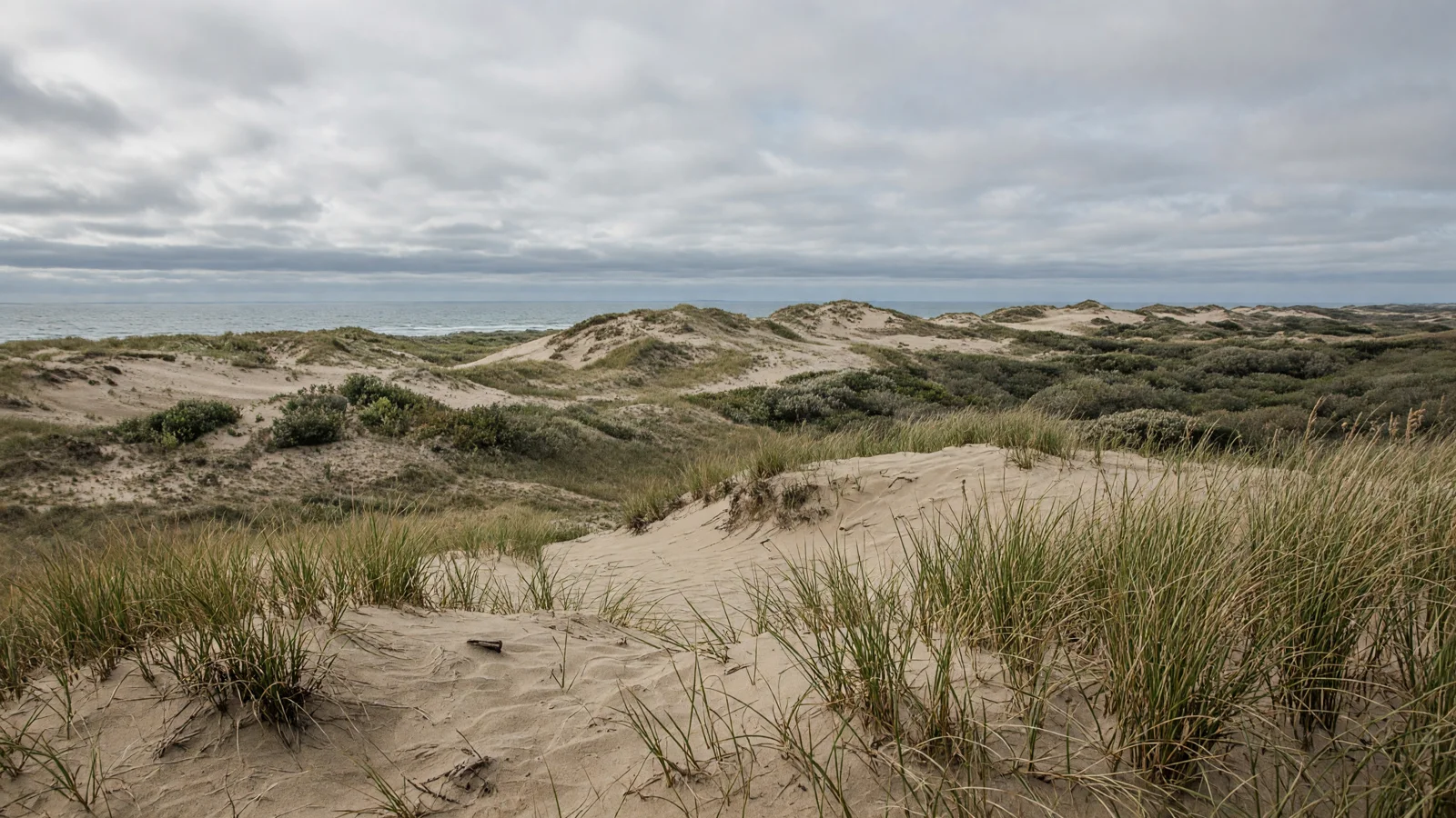 Landscape still for blog: eBike Laws in Massachusetts (2026 Guide)