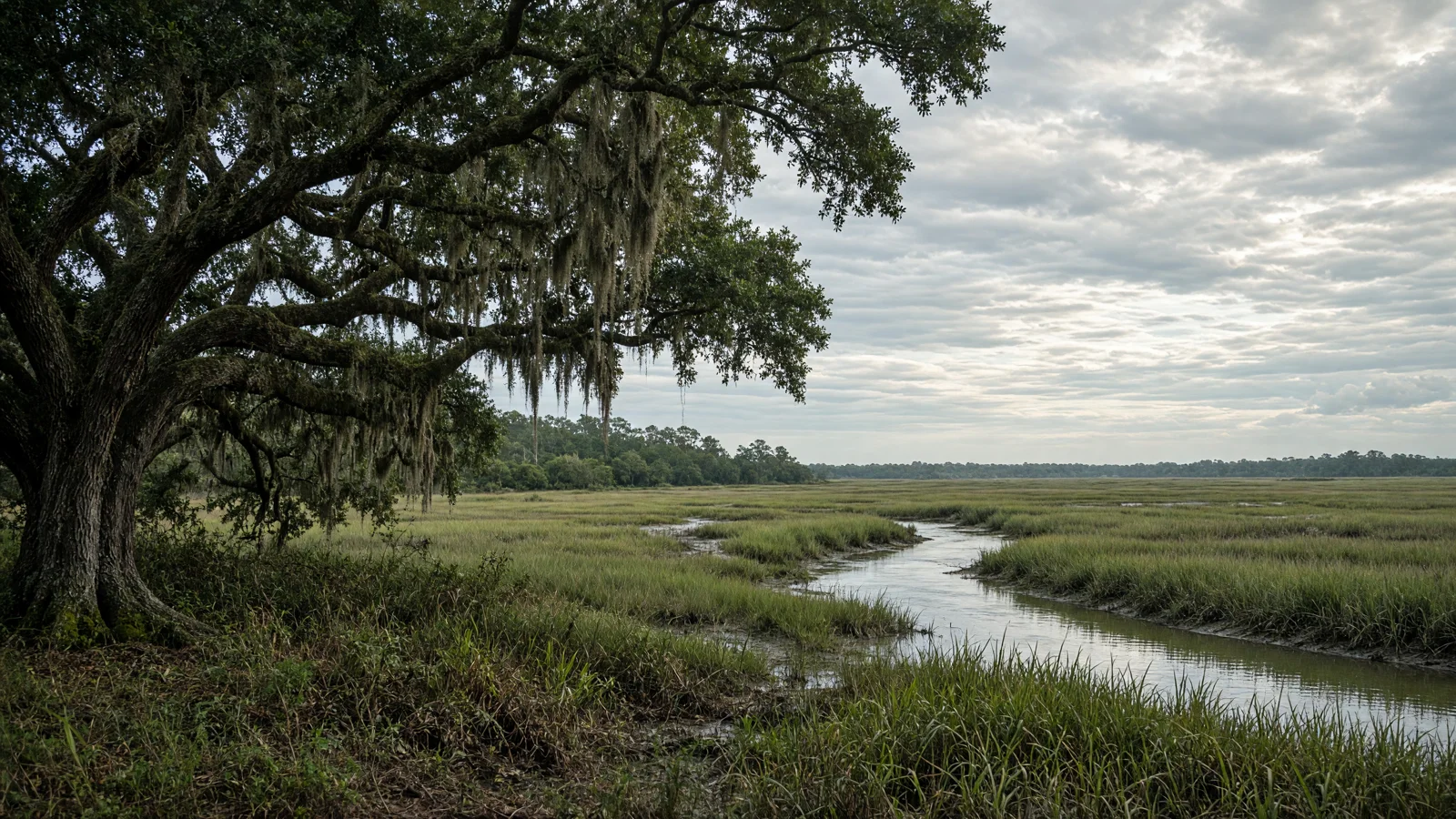 Landscape still for blog: eBike Laws in South Carolina (2026 Guide)
