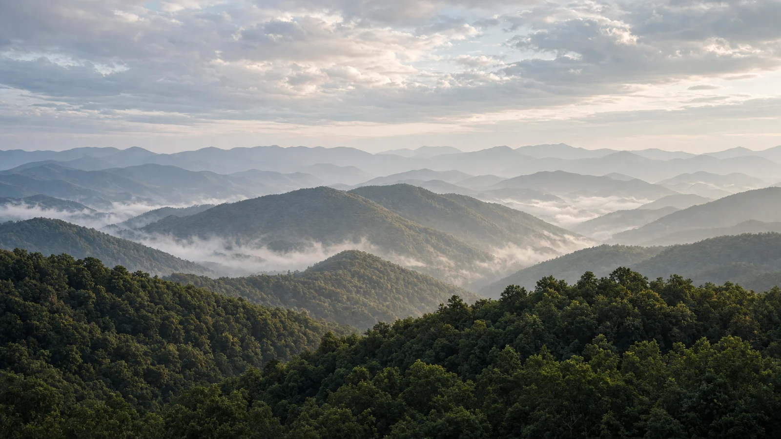 Landscape still for blog: eBike Laws in Tennessee (2026 Guide)