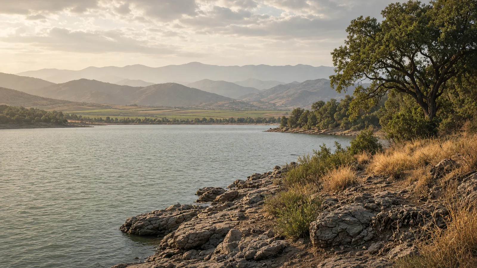 Cinematic landscape of Kings County, California