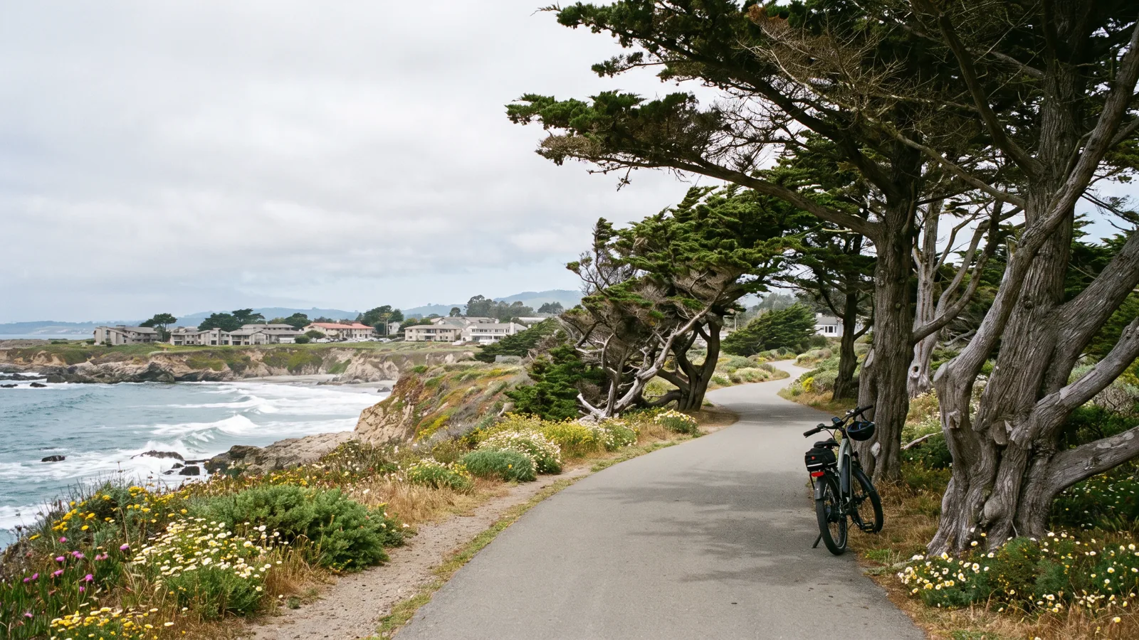 Cambria eBike riding area