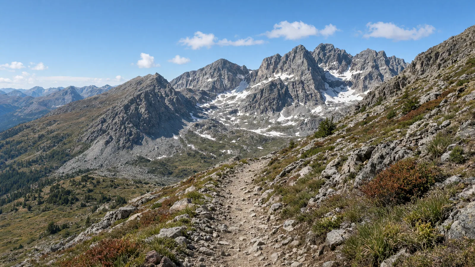 Empty outdoor trail landscape in Lake County, Colorado