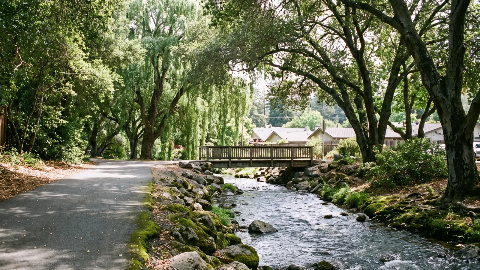 Fairfax eBike riding area
