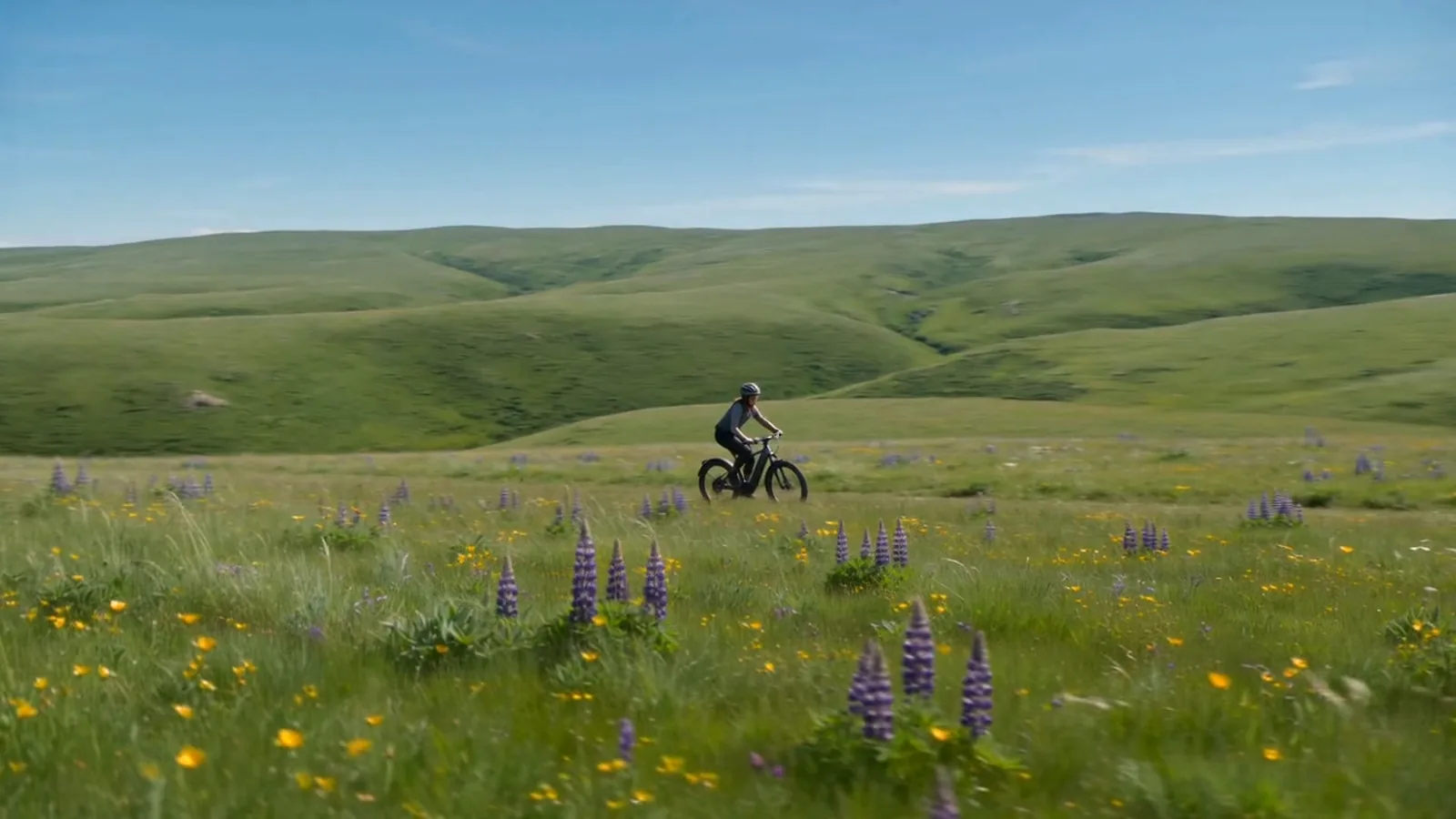 Fallbrook California eBike riding area