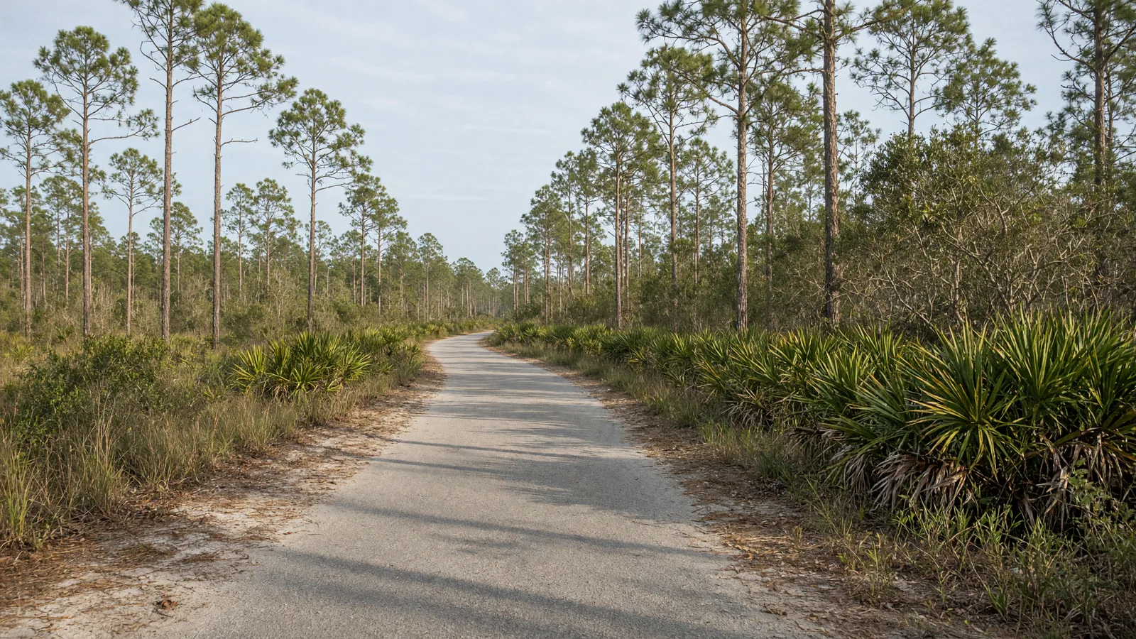 Empty outdoor trail landscape in Flagler County, Florida