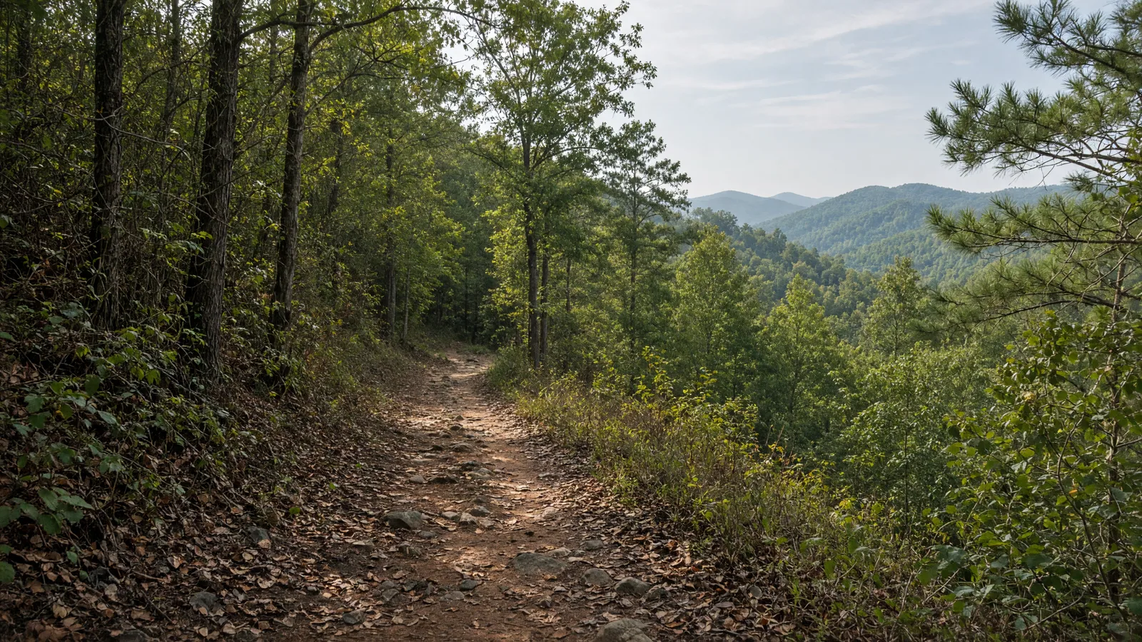 Empty outdoor trail landscape in Baldwin County, Georgia