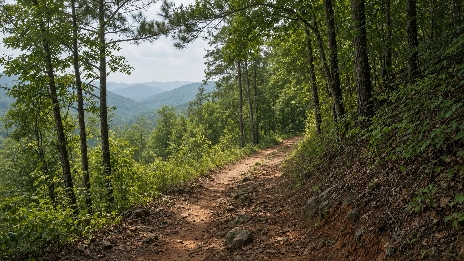 Empty outdoor trail landscape in Bartow County, Georgia
