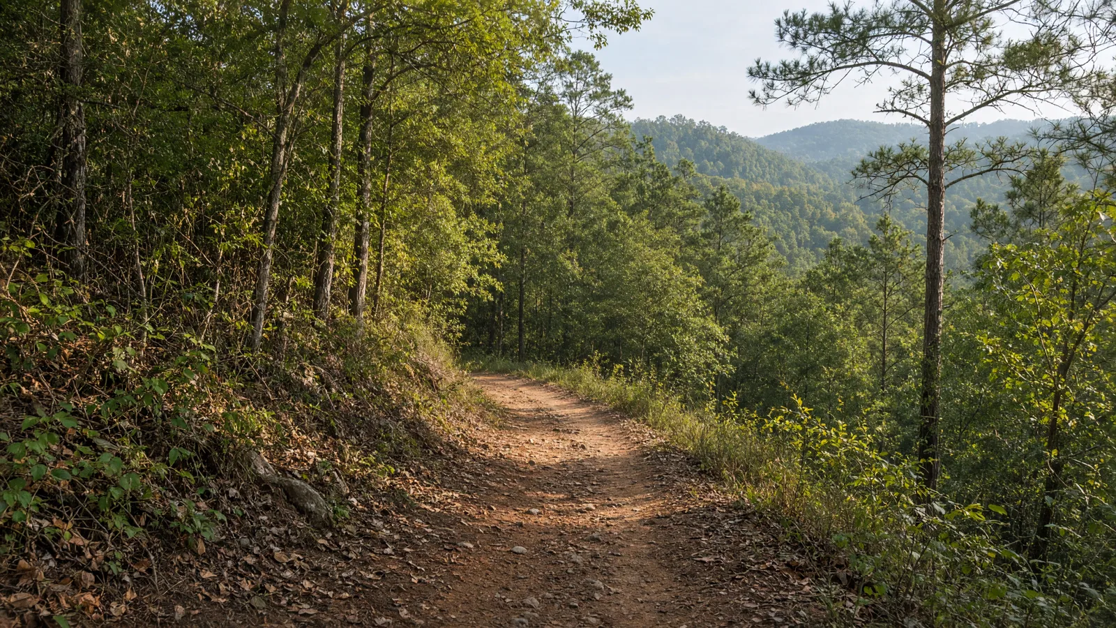 Empty outdoor trail landscape in Ben Hill County, Georgia