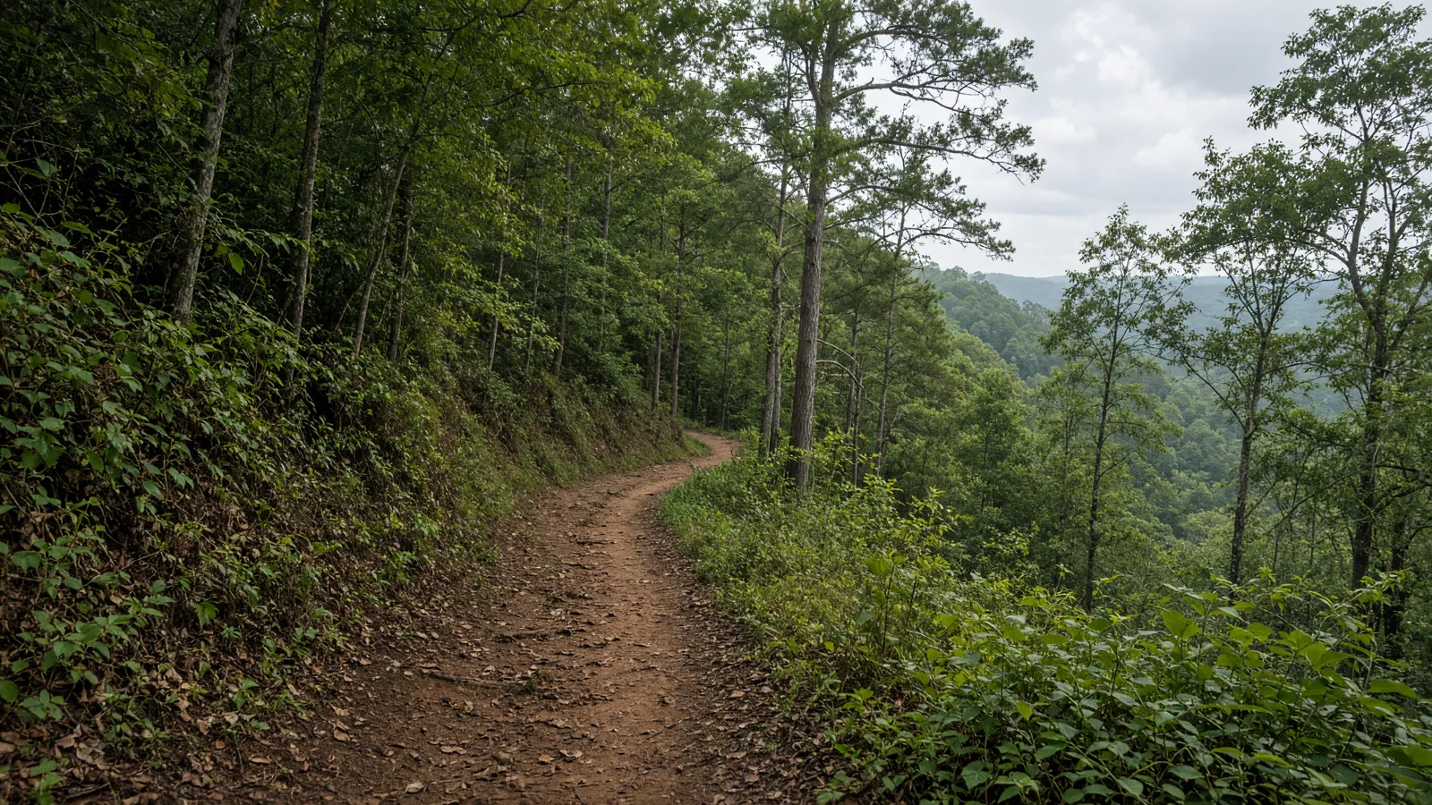 Empty outdoor trail landscape in Bibb County, Georgia