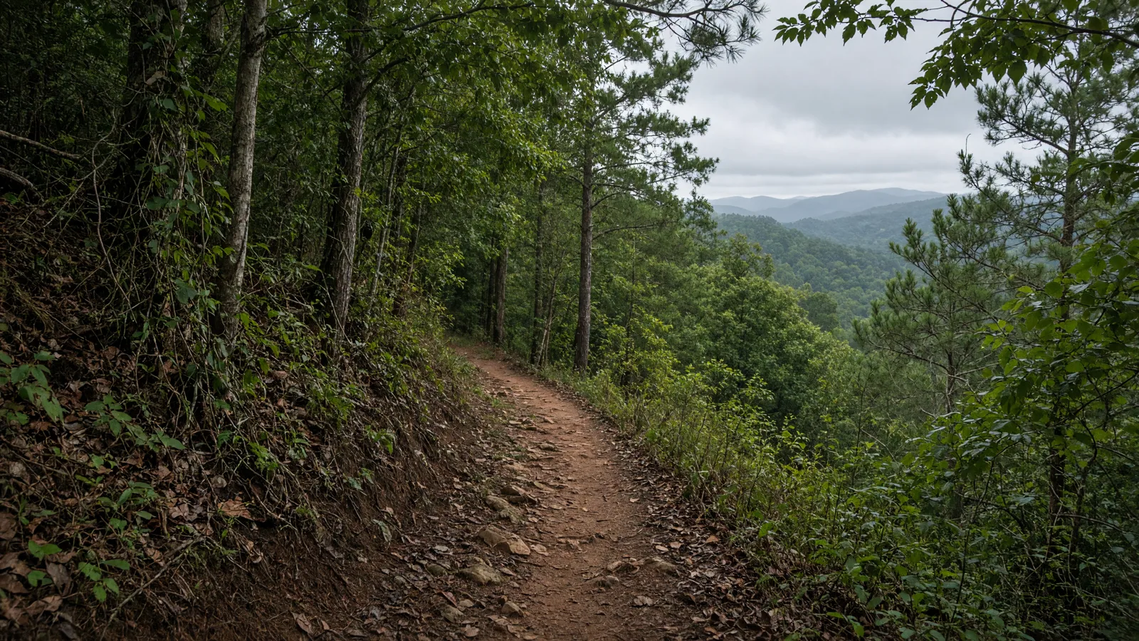 Empty outdoor trail landscape in Bryan County, Georgia