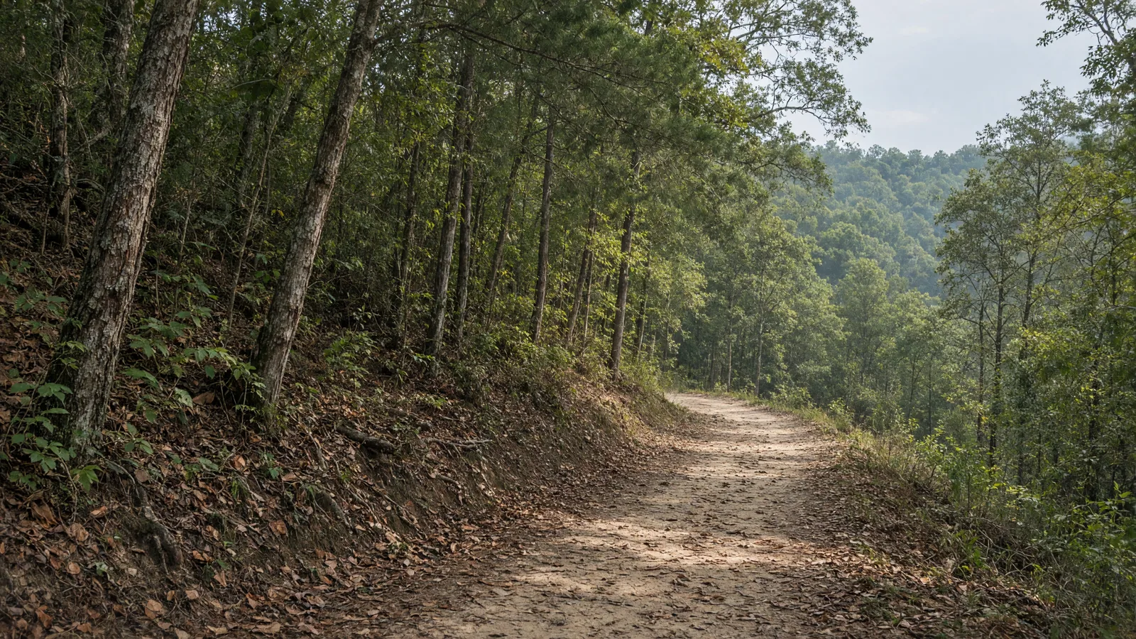 Empty outdoor trail landscape in Camden County, Georgia