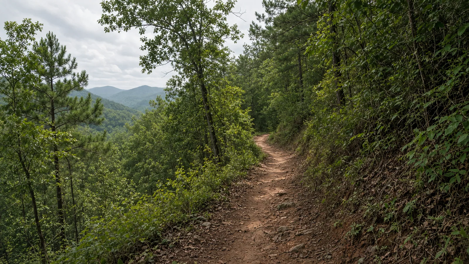 Empty outdoor trail landscape in Carroll County, Georgia
