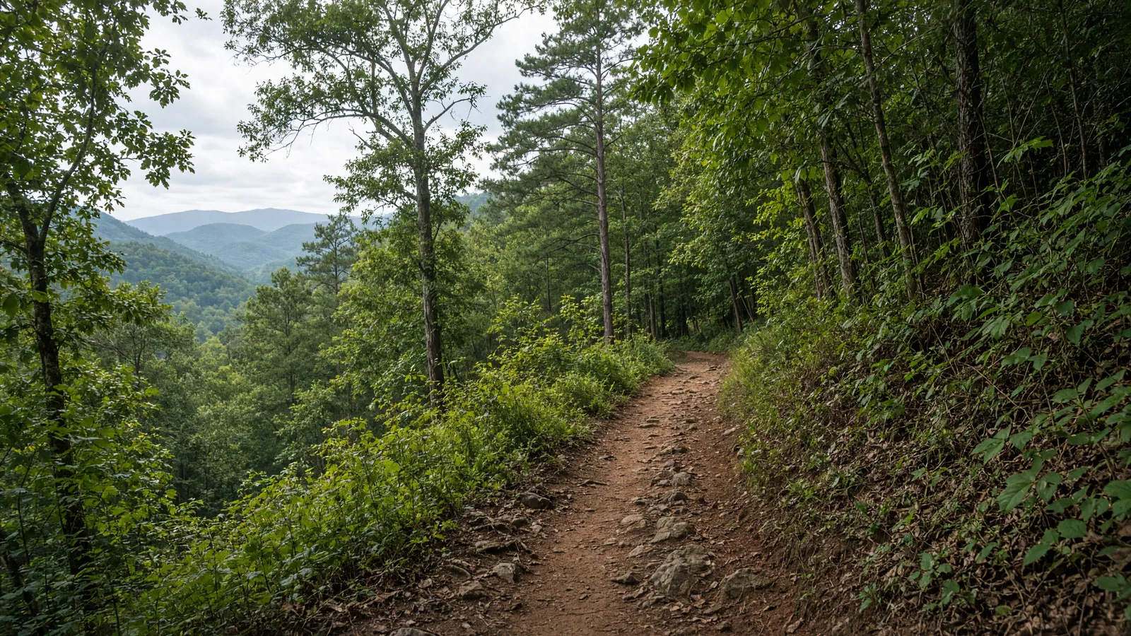 Empty outdoor trail landscape in Catoosa County, Georgia