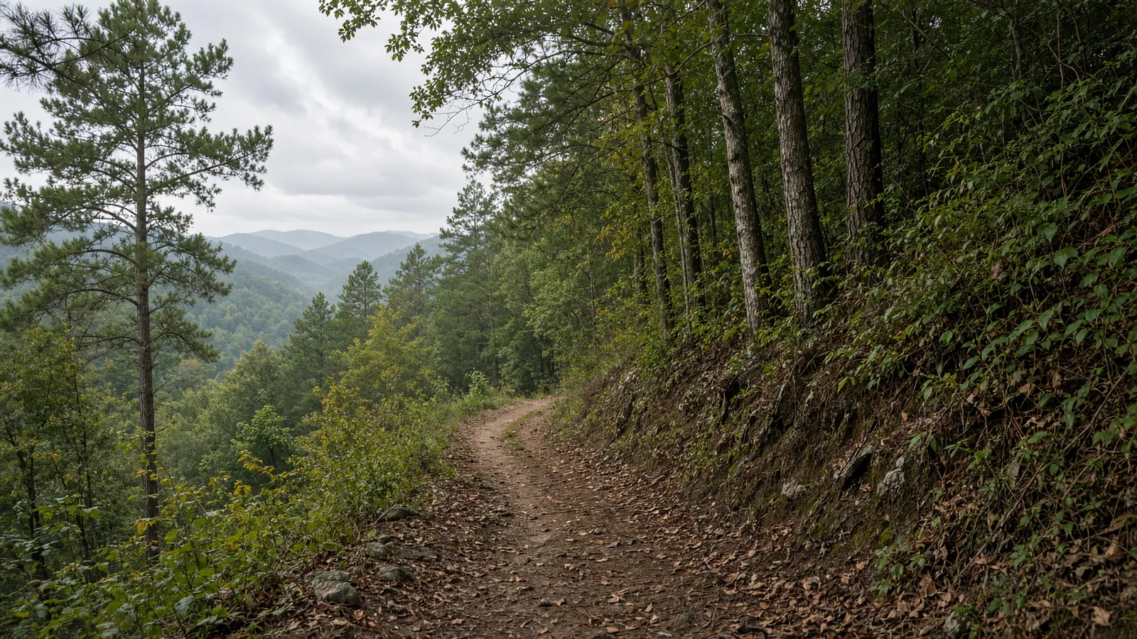 Empty outdoor trail landscape in Clarke County, Georgia