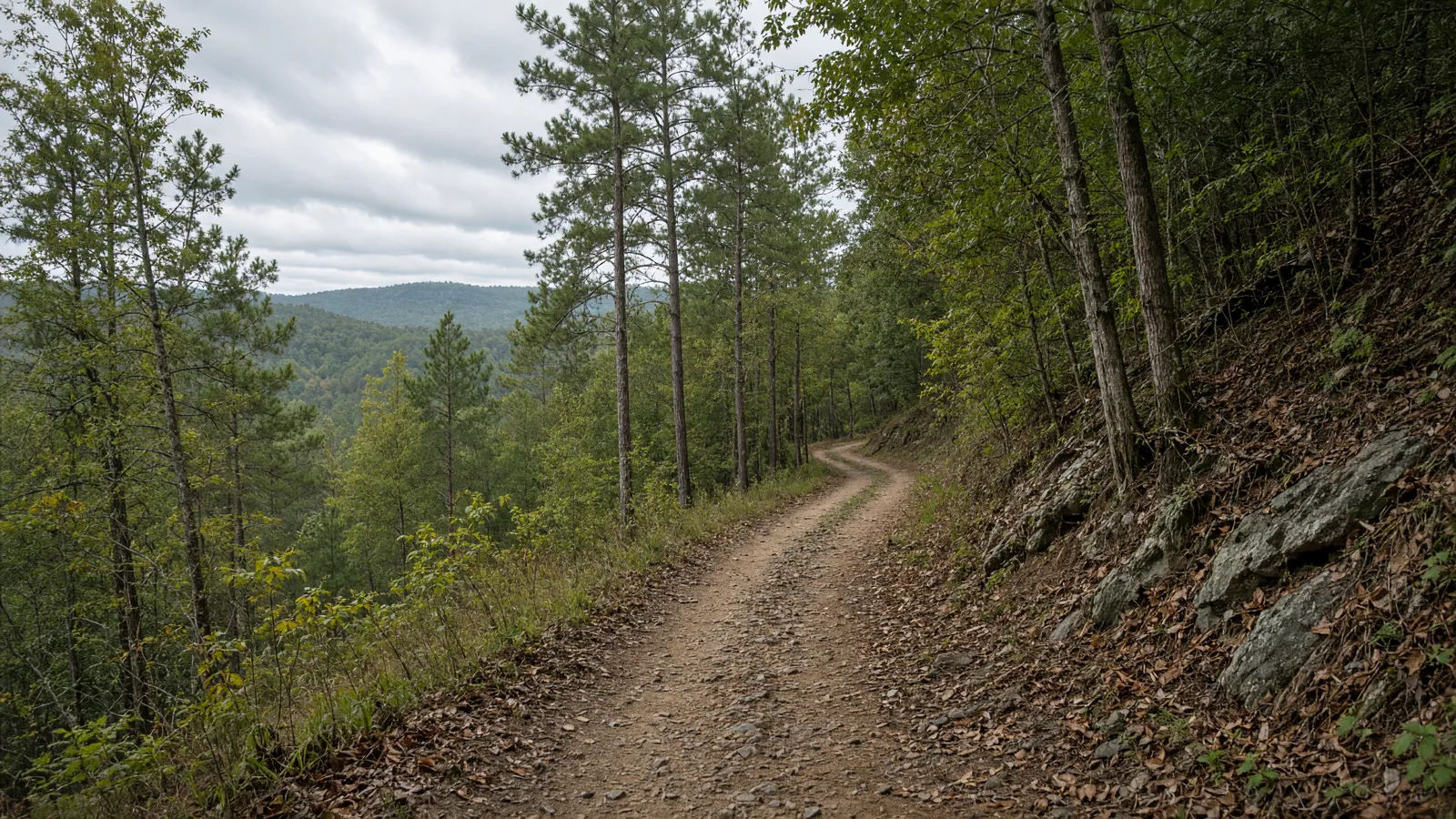 Empty outdoor trail landscape in Columbia County, Georgia