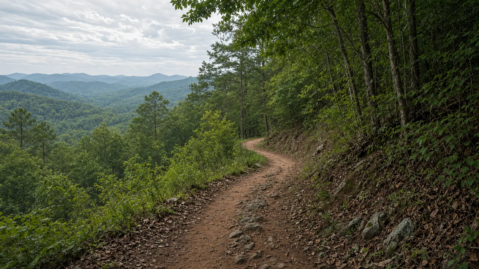 Empty outdoor trail landscape in Coweta County, Georgia