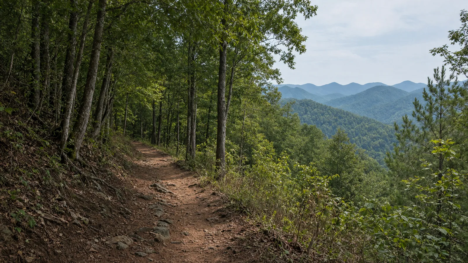 Empty outdoor trail landscape in Dawson County, Georgia