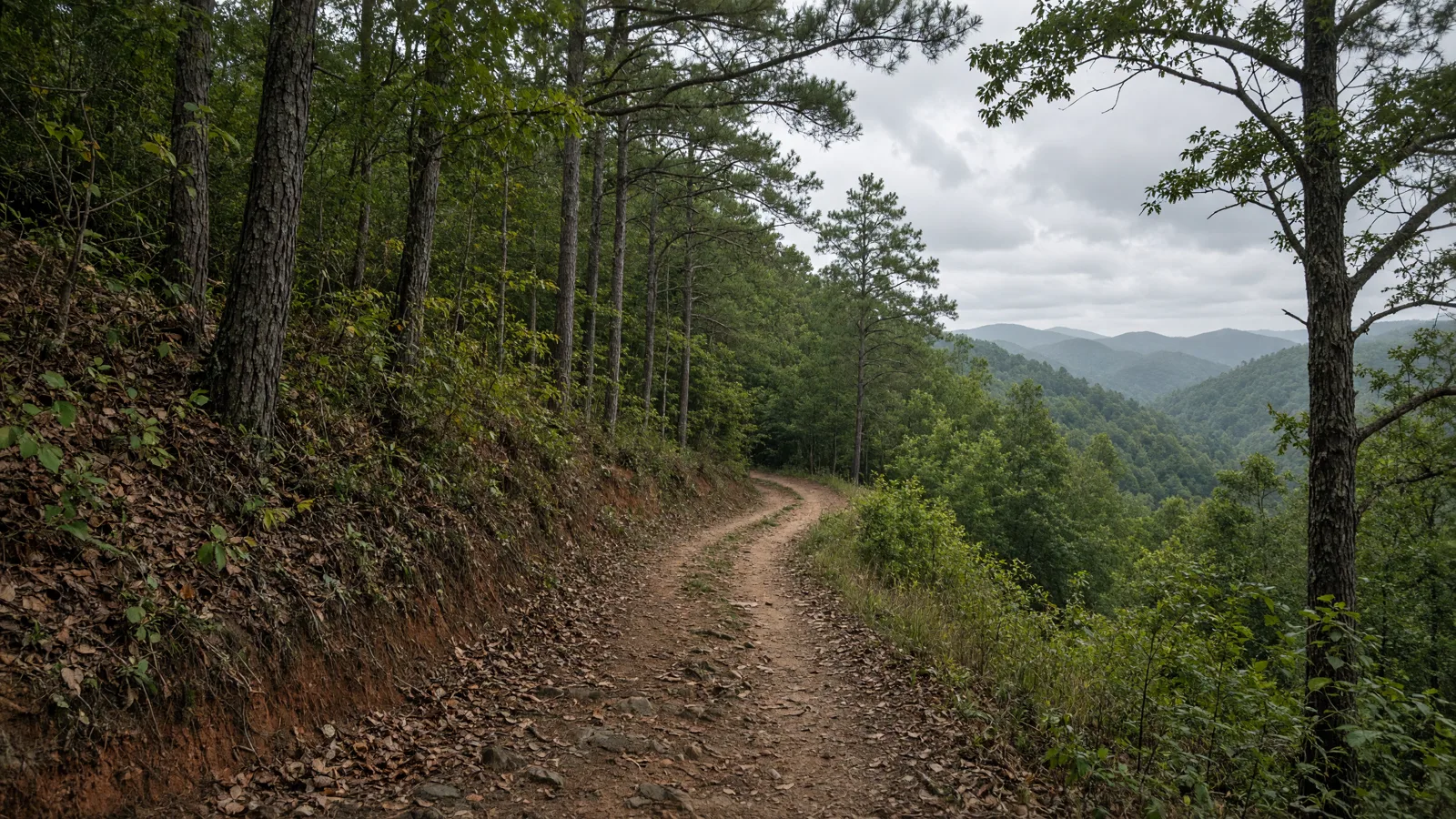 Empty outdoor trail landscape in Decatur County, Georgia