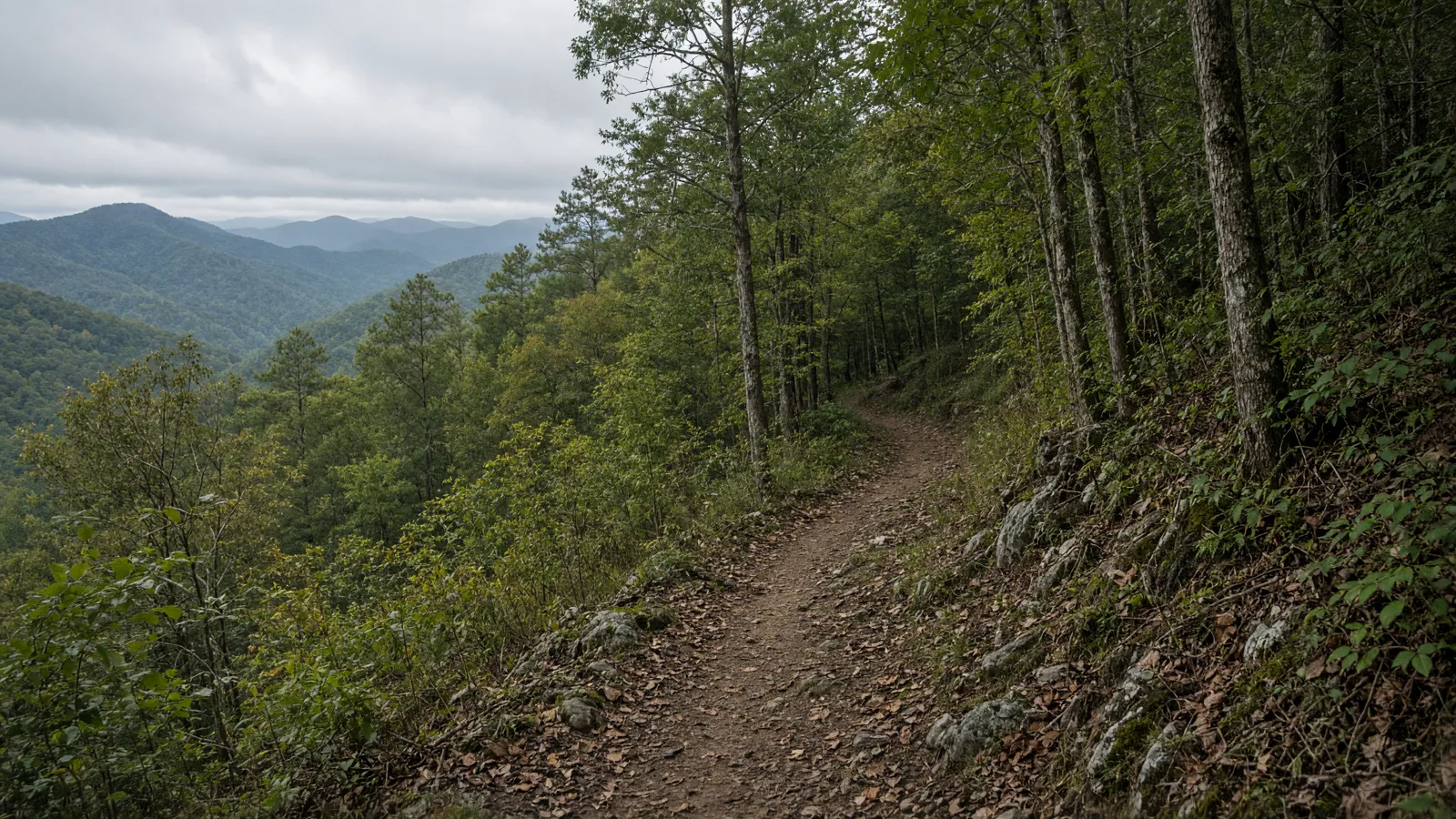 Empty outdoor trail landscape in Fannin County, Georgia