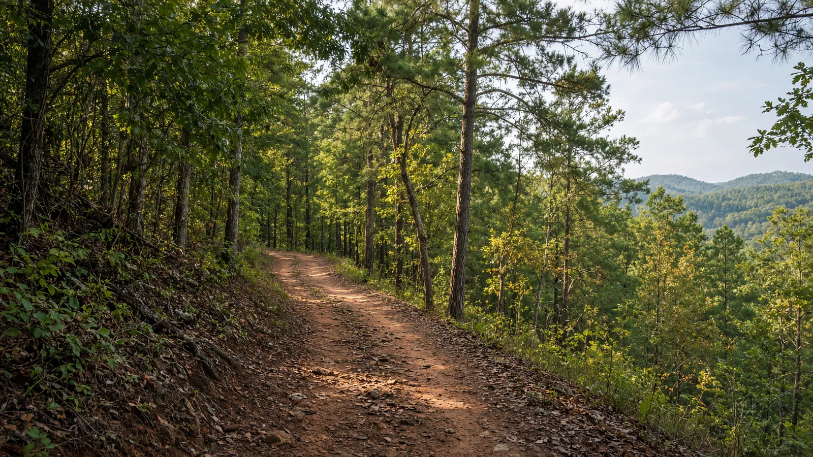 Empty outdoor trail landscape in Fayette County, Georgia