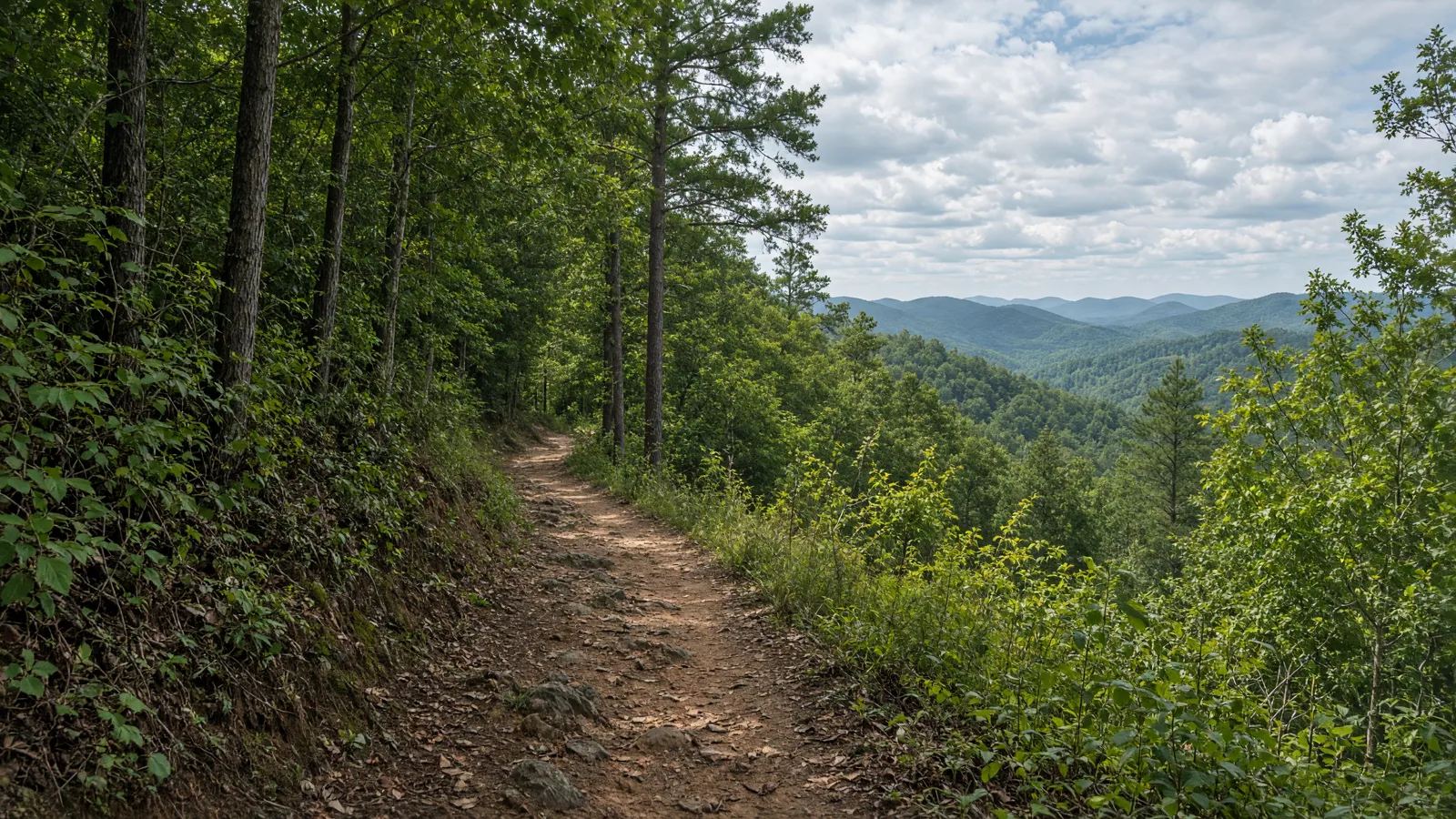 Empty outdoor trail landscape in Floyd County, Georgia