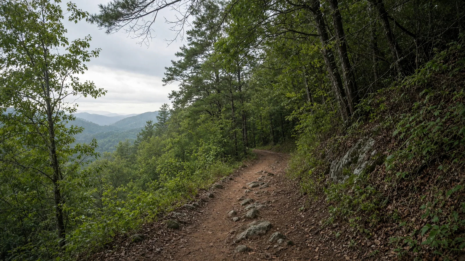 Empty outdoor trail landscape in Forsyth County, Georgia