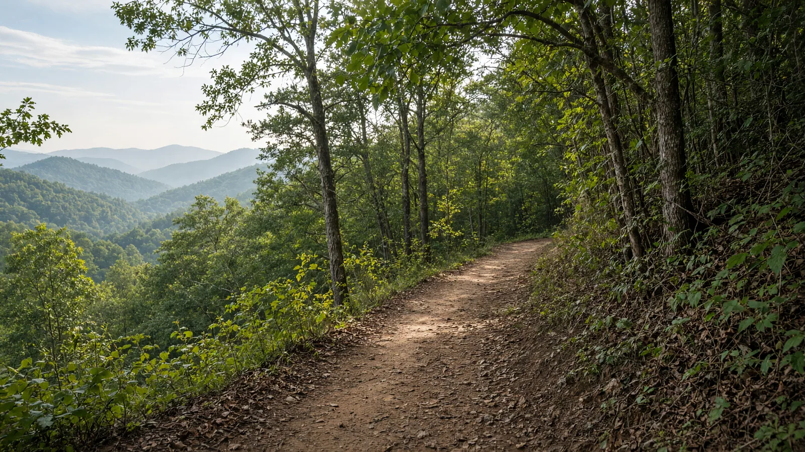 Empty outdoor trail landscape in Gilmer County, Georgia