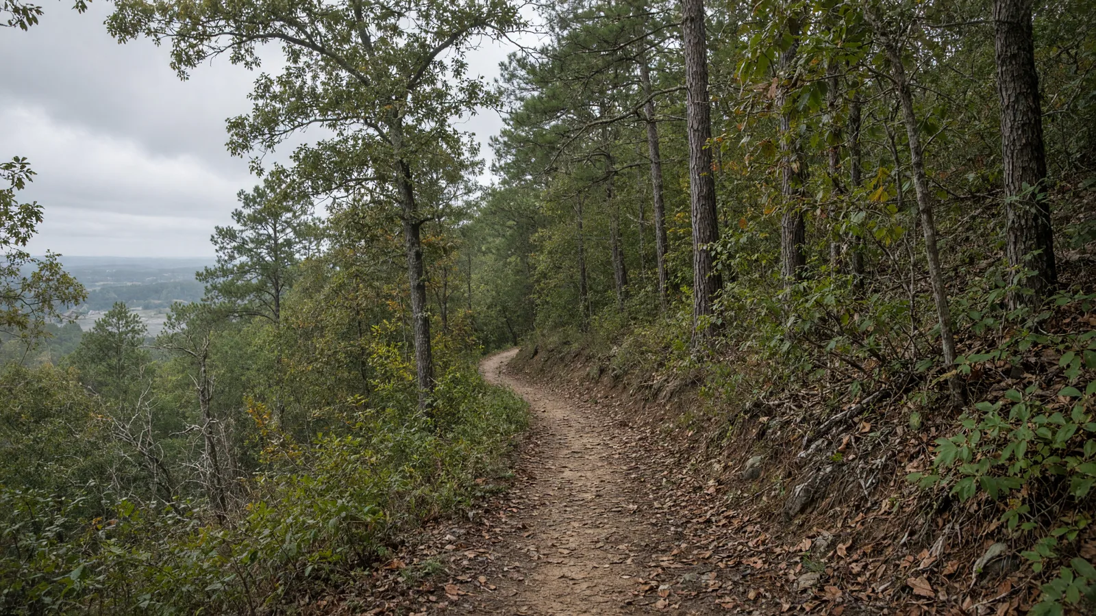 Empty outdoor trail landscape in Glynn County, Georgia