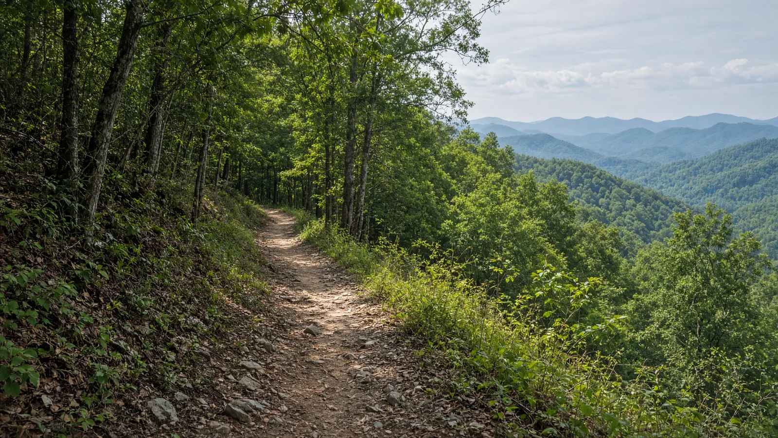 Empty outdoor trail landscape in Gordon County, Georgia
